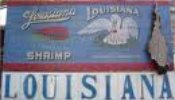 Boiled Shrimp Boiled Shrimp