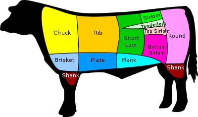 Diagram of Cow