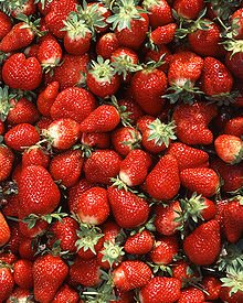 Louisiana Strawberries