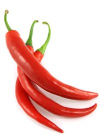 The Cayenne Pepper The Cayenne Pepper
